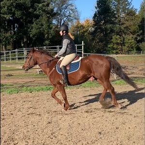 Meet your Posher, Emily